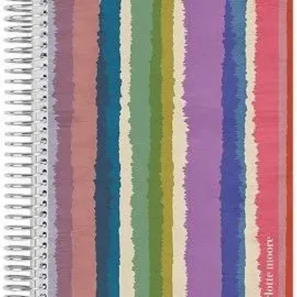 New Erin Condren A5 Undated Budget Planner Tie Dye Stripes